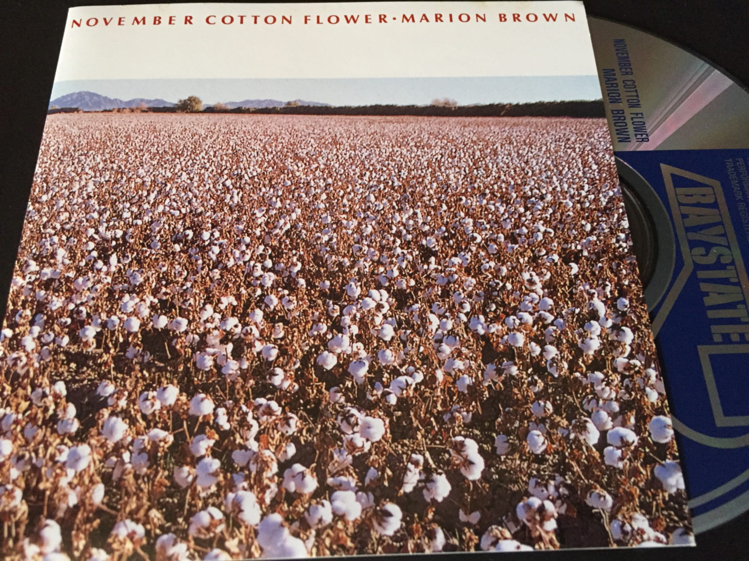 Marion Brown / November Cotton Flower 日々JAZZ★